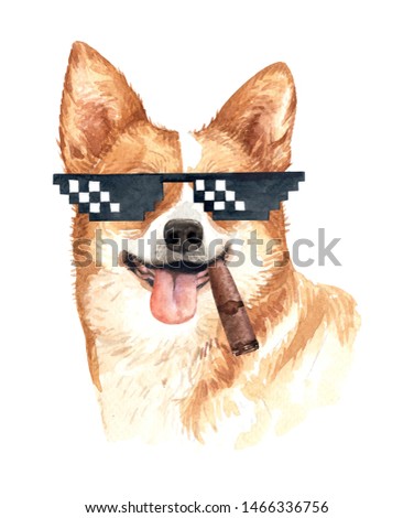 Welsh Corgi dog. Portrait of a dog. Watercolor hand drawn illustration.Watercolor American Bully with sunglasses and Cigar layer path, clipping path isolated on white background.