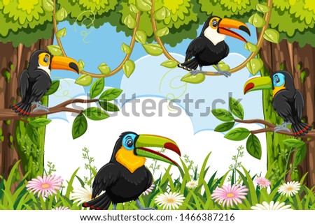 Toucan in jungle scene illustration