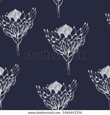 hand drawn white outline of king protea flower,australia native wild plant in seamless pattern