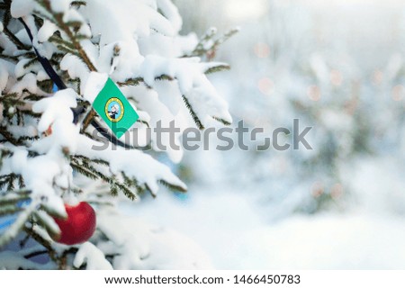 Washington flag. Christmas tree branch with a flag of Washington state. Xmas holidays greetings card. Winter landscape outdoors.