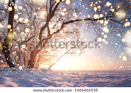 Christmas background. Magic glowing snowflakes in winter nature landscape. Beautiful winter scene with bokeh. Winter fairytale. Illuminated lights shine tree Royalty-Free Stock Photo #1466466938