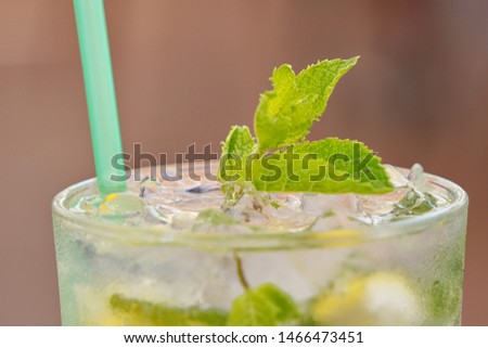 lemonade with lemon, ice and a sprig of mint. drops of condensation dripping down his glass. a cool drink on a hot day.