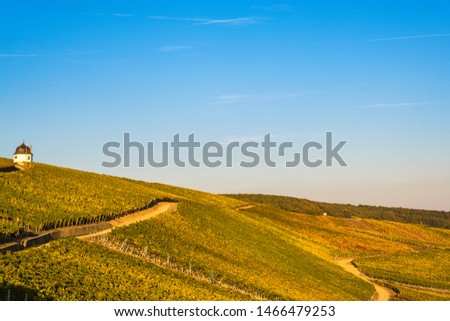 Autumnally colored vineyards near Eltville / Germany in autumn