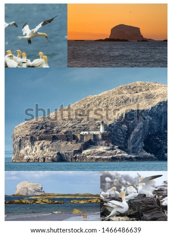 Collage from photos. View on Bass Rock and North Sea coast. Bass Rock - island where live colony of northern gannets.  North Berwick, Firth of Forth, Scotland. UK. Set of several images
