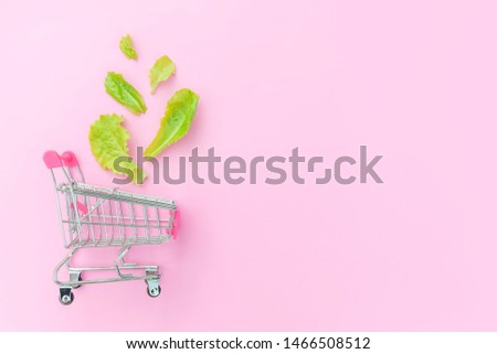 Ecology eco products health food vegan vegetarian concept . Small supermarket grocery push cart for shopping with green lettuce leaves isolated on pink pastel colorful background. Copy space
