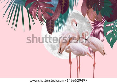 moon and flamingo background design with tropical leaves, can be used as background, wallpaper