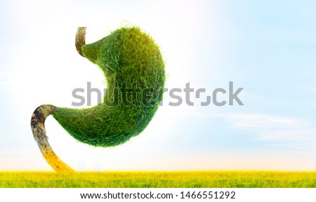 The human stomach is strong. The internal organs are shaped by green trees. (environment) Royalty-Free Stock Photo #1466551292