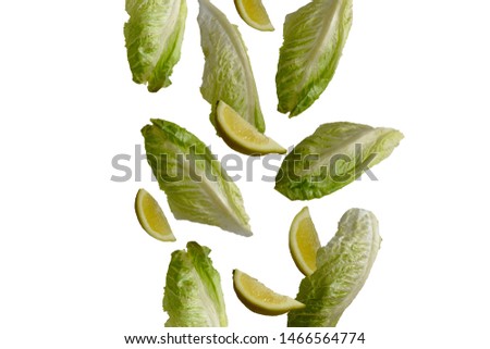 salad with pieces of lemon flying in the air with a white background Royalty-Free Stock Photo #1466564774
