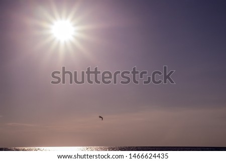Sun rays filling up the sky and reflecting in the water with bird in the distance