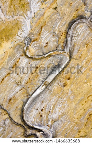 Dry beds among geological rocks