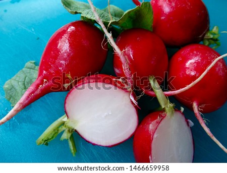                                Close up of fresh radishes on a blue cutting board