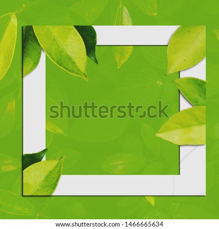Tropical green leaf frame layout on green background copy space