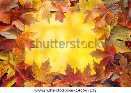 Colorful Autumn Maple Tree Fall Leaves Border with Warm Orange Background with Bokeh Lights
