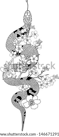 Snake with sakura flower vector for tattoo or printing on isolate background.