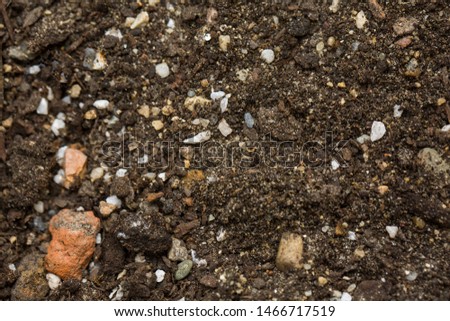 Mixed soil for growing cactus or some other plants.Good drainage soil texture background stock photo