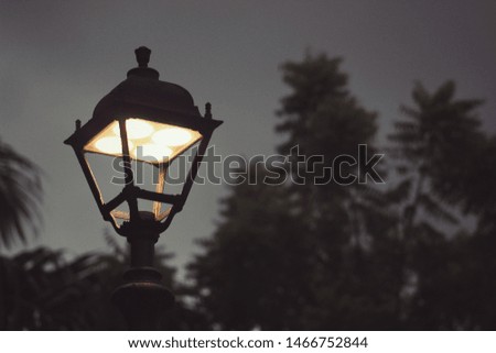 Photo of a lamp turned on at night with trees in the background.
