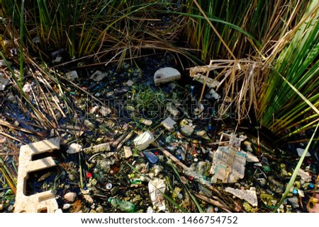 lots of garbage in the water