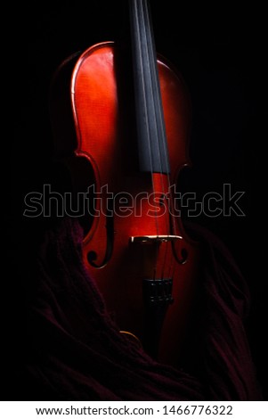 Low key pictures to a violin instrument. I used a black background and one flash to take this picture. 