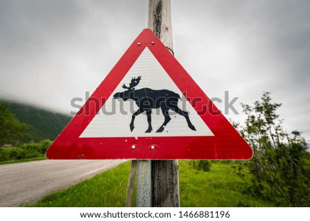Triangular road traffic warning sign with picture of moose.
Lofoten Islands, Norway, Europe.