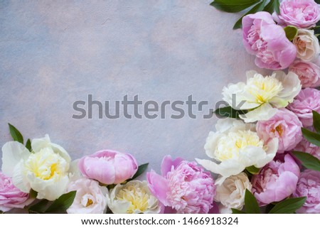Peonies and roses on the background of colored plaster and space for text.