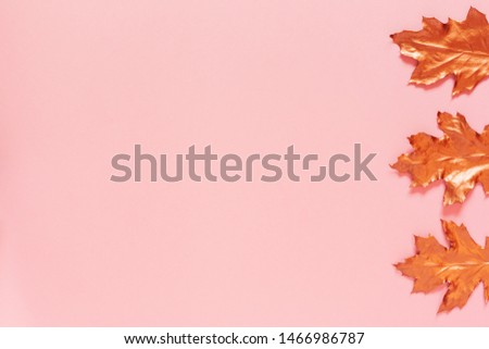 Autumn composition with a coper spray painted natural leaves on pink background. 