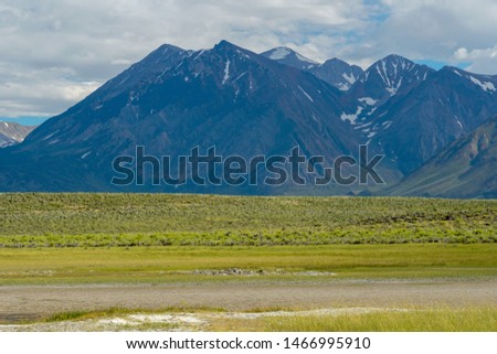 Long green valley next to Lake Crowley, Mono County, California. USA. Green wetland with mountain on the background during clouded summer.