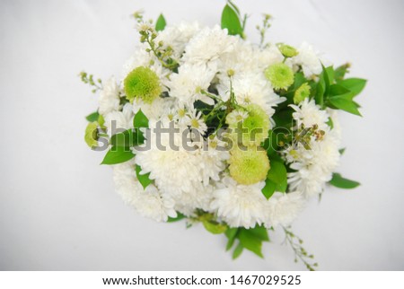 Various white flowers with white background. Overhead display with copy space