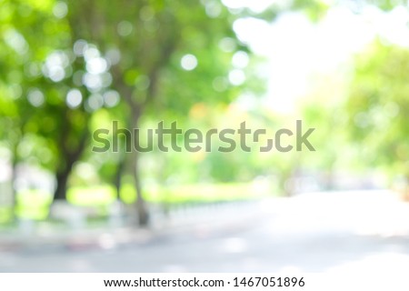 Abstract blurred green tree leaf background with bokeh sun light, Element of design
