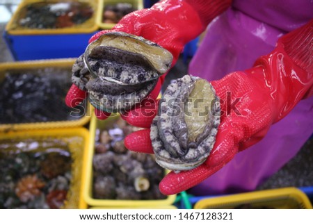 fresh ear shells on the hands with rubber gloves Royalty-Free Stock Photo #1467128321