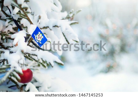 Connecticut flag. Christmas tree branch with a flag of Connecticut state. Xmas holidays greetings card. Winter landscape outdoors.