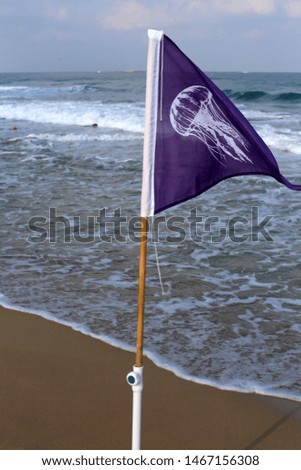 flag fluttering in the wind