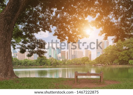 A view of the city park in the middle of the city, the morning atmosphere of the park with a pool in front and the view of the large skyscrapers in the background, showing freshness.