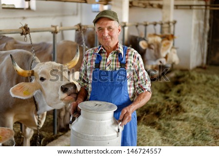 Farmer is working on the organic farm with dairy cows and holding big milk container pot. Model is a real farm worker! Royalty-Free Stock Photo #146724557