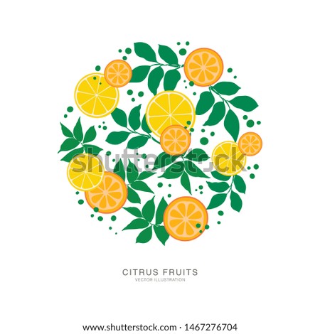 Hand drawn flat citrus fruits. Colorful illustration. Oranges, lemons, leaves. Delicious healthy food. Organic products sketch round composition as summer poster, print, card, promotional materials.