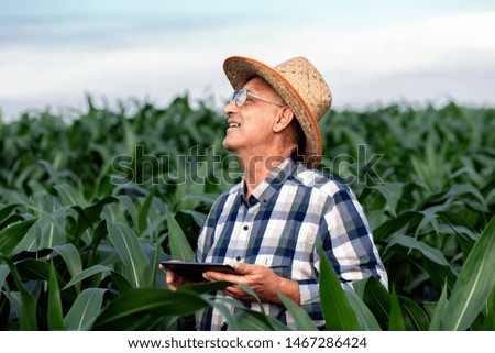 Portrait of senior farmer standing in corn field with tablet in his hands and examining crop.	