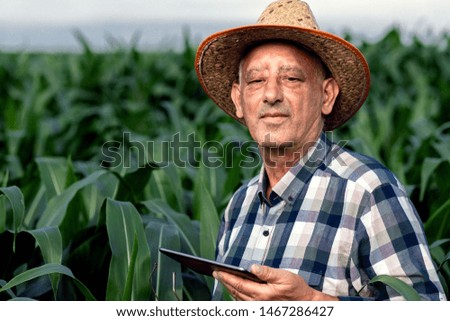 Portrait of senior farmer standing in corn field with tablet in his hands and examining crop.	