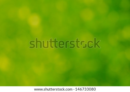 beautiful green bokeh as background