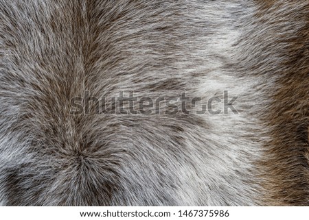 Brown animal wool beuatiful texture