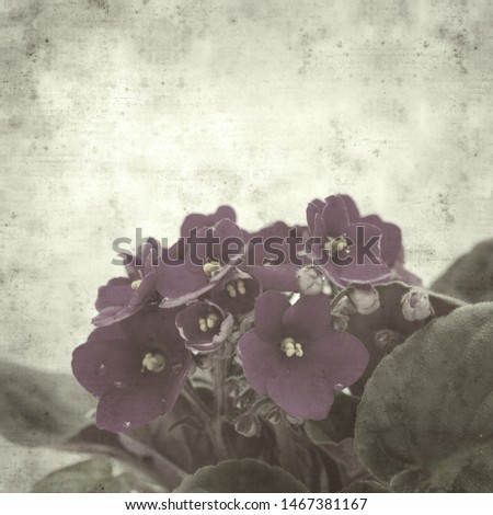 textured stylish old paper background, square, with dark purple african violet flower 