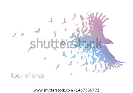 figures multicolored flock of flying birds on white background
