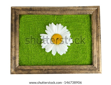 Picture of colored decorative sand with flowers isolated on white