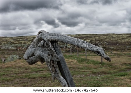 Stylized wooden skull of a mountain goat. High plateau, Norway