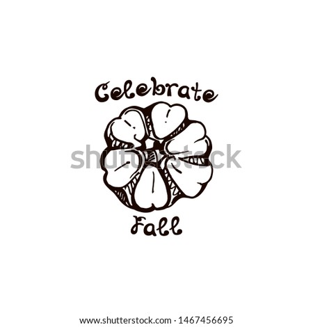 Autumn hand drawn pumpkin with lettering isolated on white background. Text: Celebrate Fall