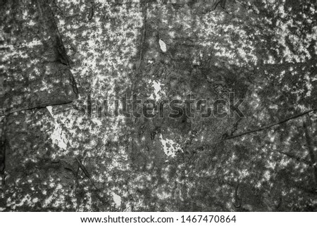 Beautiful Abstract Grunge Decorative  Stucco Wall Background. Art Rough Stylized Texture Banner With Space For Text