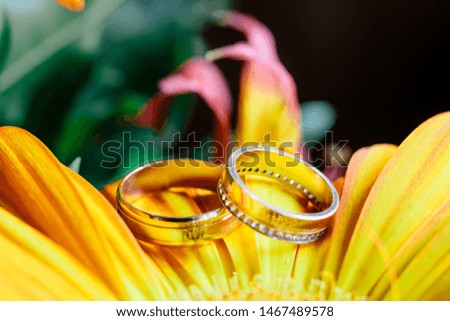 Rings of the newlyweds on a yellow flower.