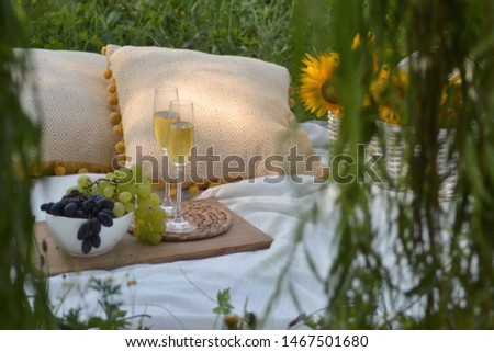 Summer picnic in the meadow. Fruits, champagne, flowers and basket.