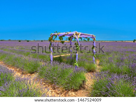Colorful landscape of a lavender field with a public set to take selfies pictures during july lavender festival near the medieval town of Brihuega, Guadalajara, Alcarria, Castilla la Mancha, Spain.