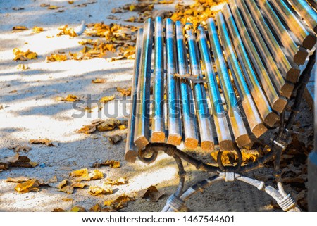 Beautiful wrought-iron bench with a wooden seat in the autumn park, close, on the ground fallen yellow leaves, sunny day