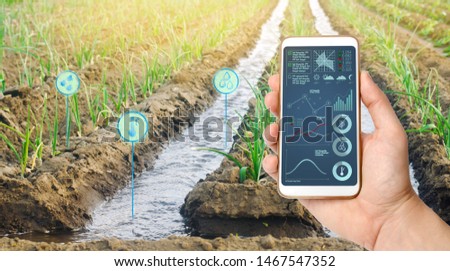 Farmer's holds a smartphone on a background of a field with a leek plantation. Agricultural startup. Automation and crop quality improvement. High technology, innovation. Scientific research. Pomology Royalty-Free Stock Photo #1467547352