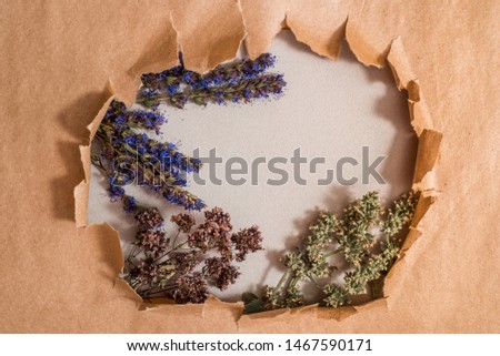 Kraft package, reusable environmental packaging, homemade tea flowers. mint lemon balm and hyssop. Torn paper as background. hole in kraft paper. Flat Lay Copy space